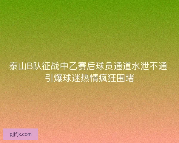 泰山B队征战中乙赛后球员通道水泄不通 引爆球迷热情疯狂围堵