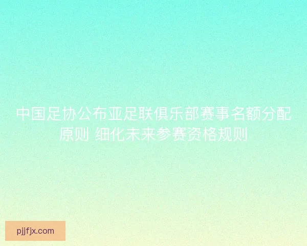 中国足协公布亚足联俱乐部赛事名额分配原则 细化未来参赛资格规则 中国足协公布亚足联俱乐部赛事名额分配原则 细化未来参赛资格规则