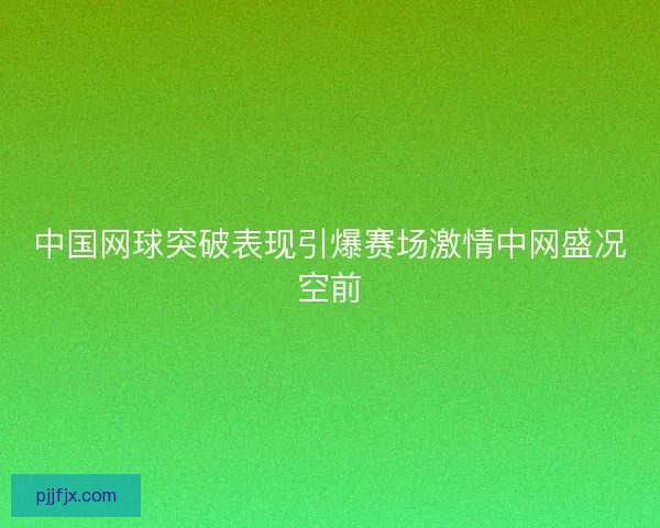 中国网球突破表现引爆赛场激情中网盛况空前